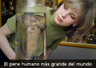 Por qué el miembro pequeño pero gordo